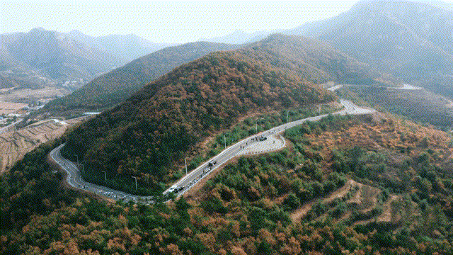 攜手前行共賞金秋 腳踏實地齊心逐夢(圖2)