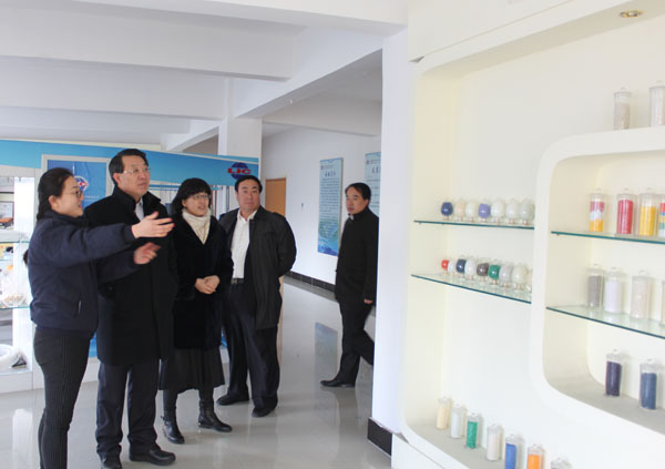 高區(qū)黨工委書記劉偉一行來聯(lián)橋新材走訪調研